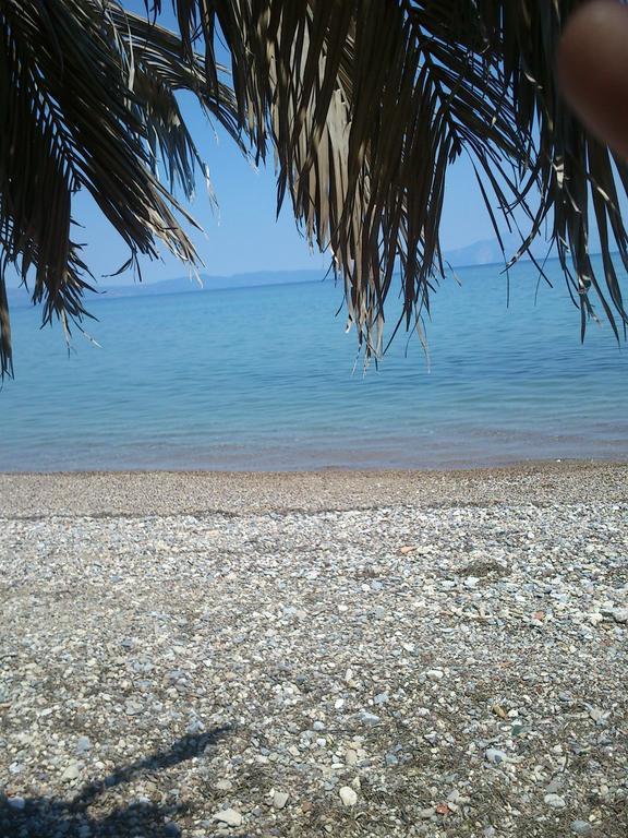 Evoikos Beach & Resort ลิวานาไต ภายนอก รูปภาพ